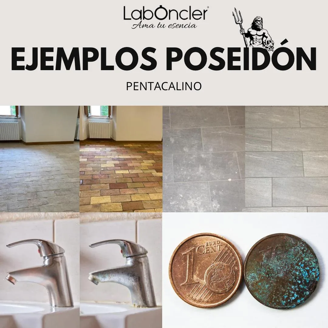 Poseidón Gel Desincrustante WC - Imagen 3